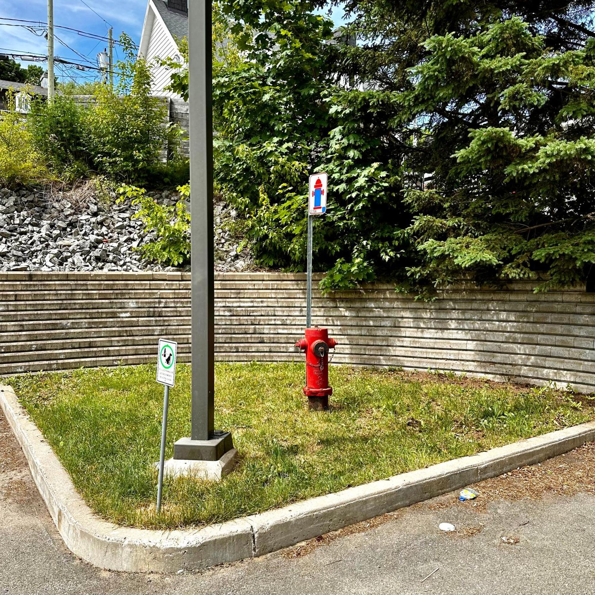Initial - Cavalier - Chutes-Montmorency Boischatel Exterior foto